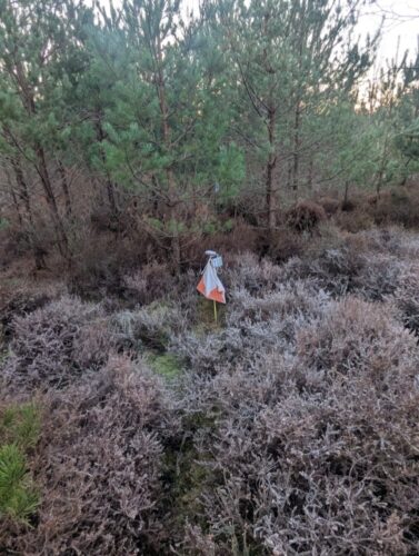 Frosty Start This Morning