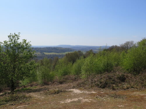 View across St Martha's